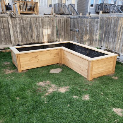 L-shaped above-ground cedar planter box